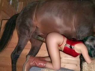 hot babe fucked hard by the horse in the barn